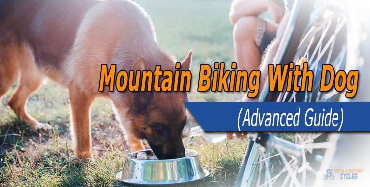 mountain biking with dog