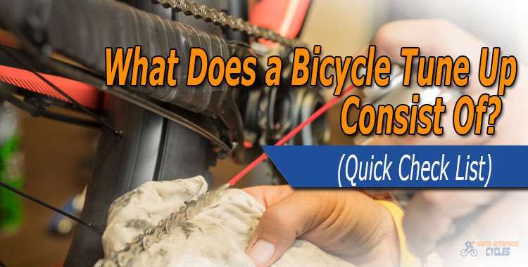 What does a bicycle tune up consist of?